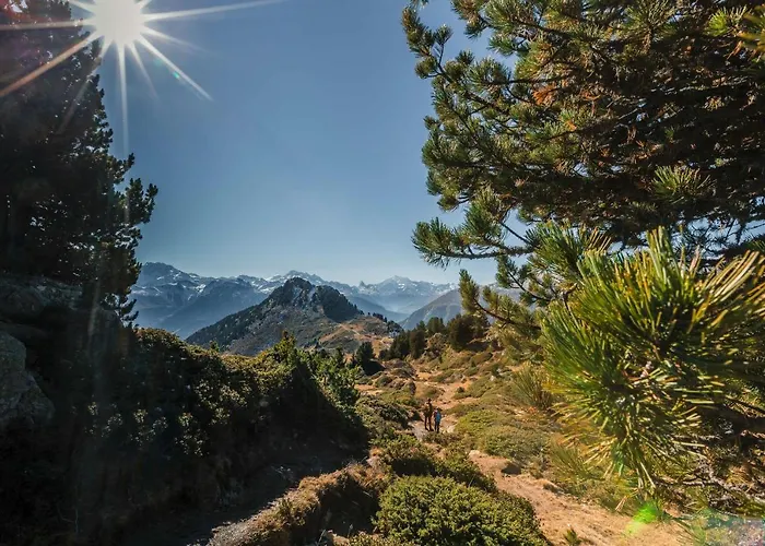 Artus 2 * Bettmeralp